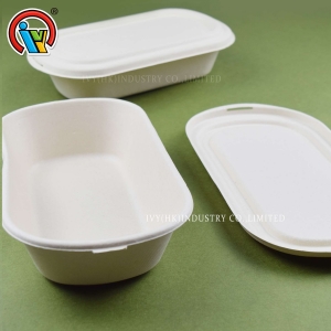 Caixa de almoço biodegradável ecológica