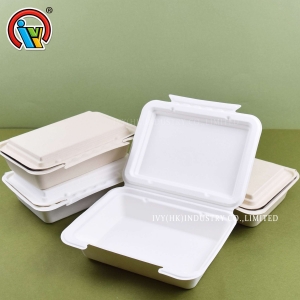 Caixa de almoço descartável biodegradável
