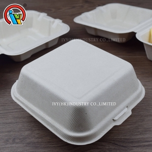 Caixa de hambúrguer biodegradável ecológica

